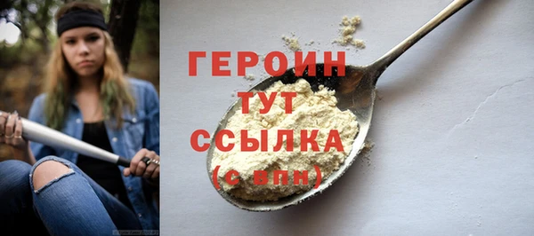твердый Гусев