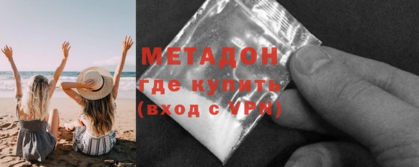 прущие грибы Гусиноозёрск