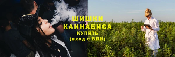 твердый Гусев