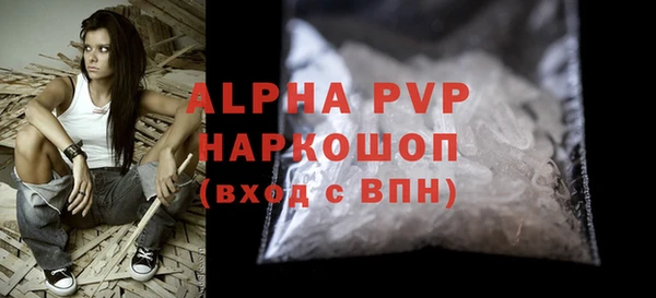 прущие грибы Гусиноозёрск