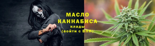 прущие грибы Гусиноозёрск
