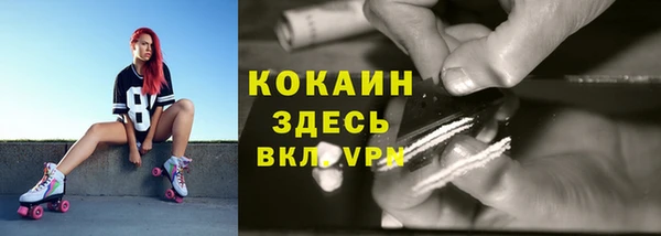 прущие грибы Гусиноозёрск