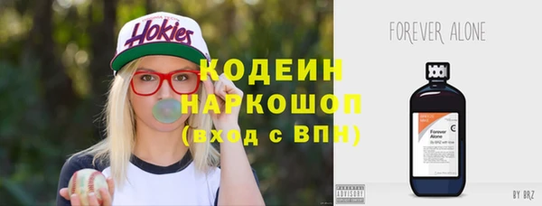 прущие грибы Гусиноозёрск