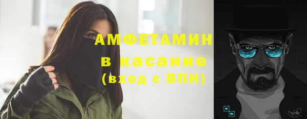 твердый Гусев