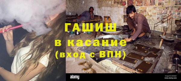 прущие грибы Гусиноозёрск