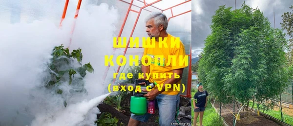 твердый Гусев