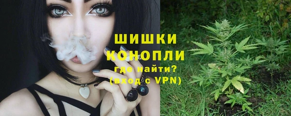 ешки Гусь-Хрустальный