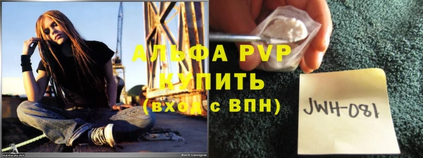 твердый Гусев