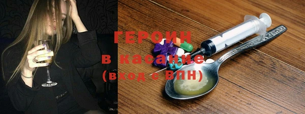 твердый Гусев