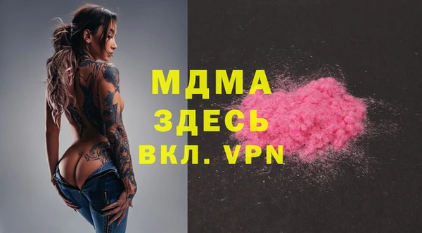 прущие грибы Гусиноозёрск