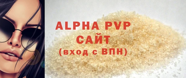 прущие грибы Гусиноозёрск