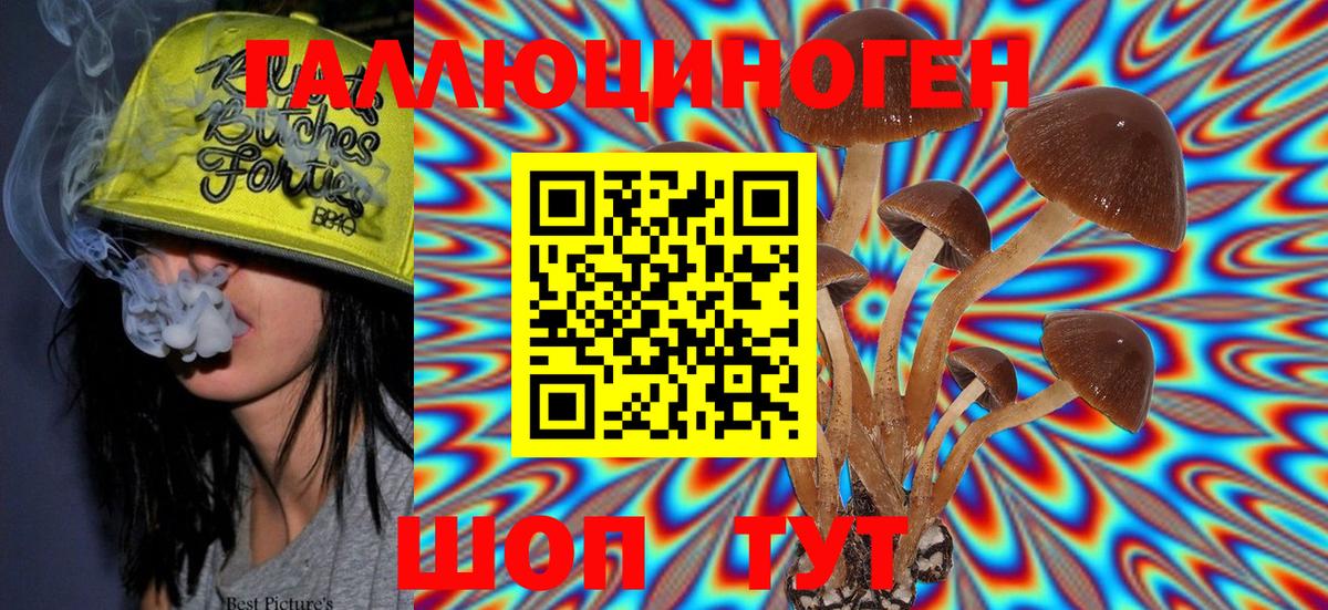 Осинники  цена   Галлюциногенные грибы Magic Shrooms  Вход с VPN  Псилоцибиновые грибы прущие грибы 