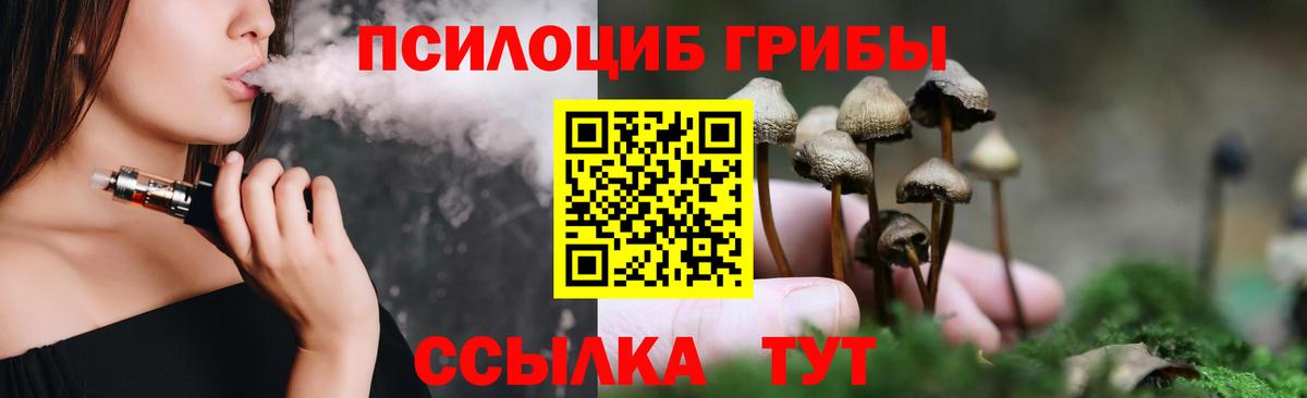 Псилоцибиновые грибы мицелий Осинники